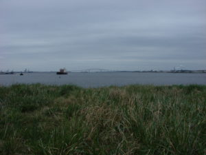 harbor from fort mchenry