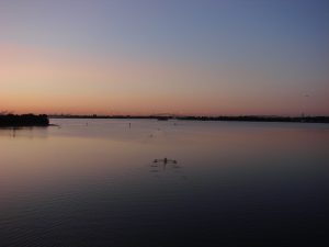 rowing on the Patapsco at sunrise
